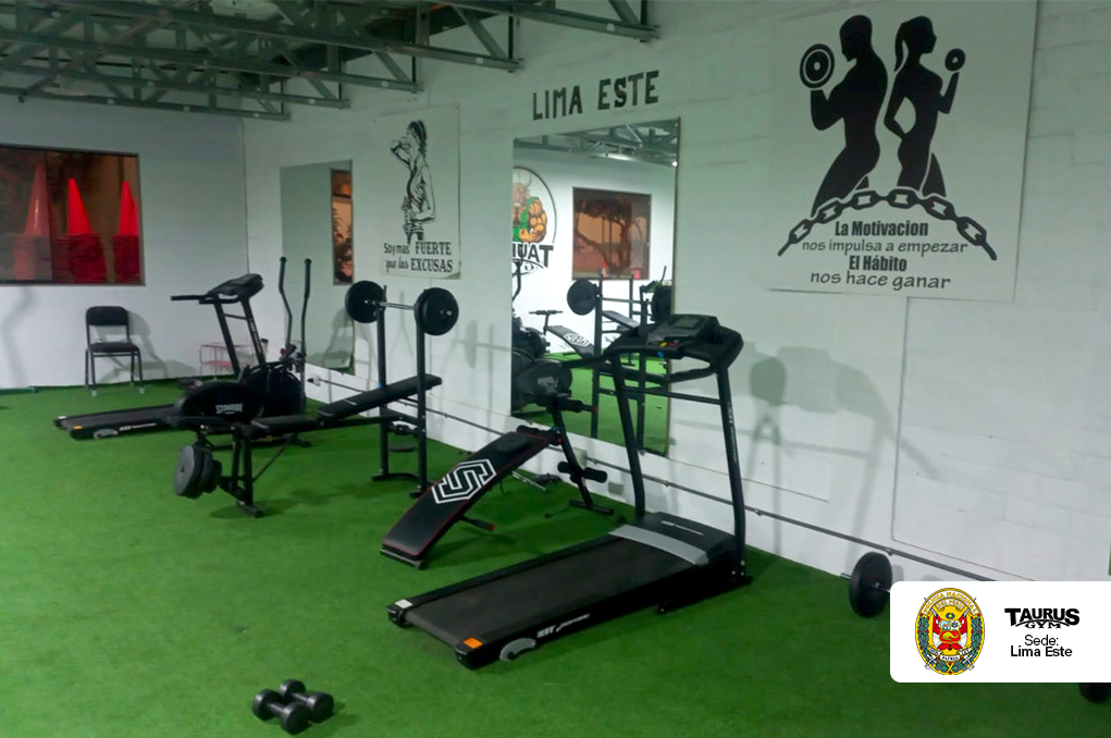 Instalación de coberturas de uPVC e instalación de paneles de PVC en formato tabiquería.