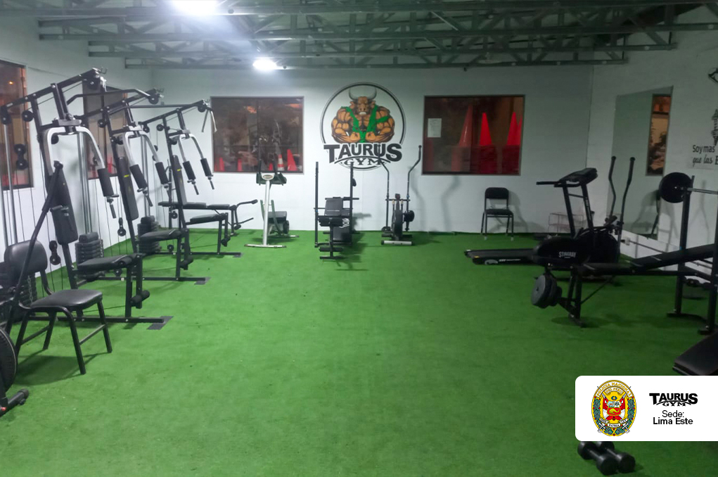 Instalación de estructura para tabiquería y coberturas de uPVC.