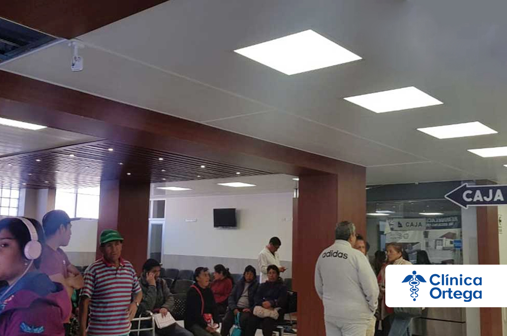 Instalación de falso cielo raso, en formato de baldosas y paneles de PVC.